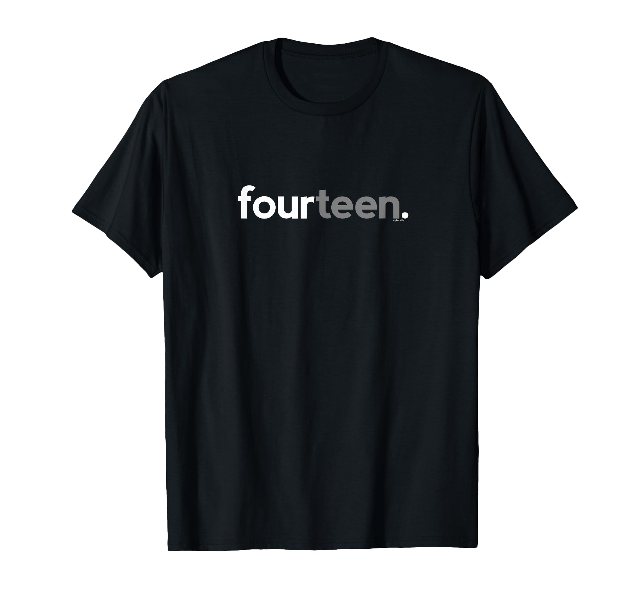 14th Birthday for Teenage Boys Party Ideas Fourteen T-Shirt