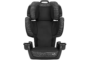 Evenflo GoTime LX Booster Car Seat (Chardon Black)