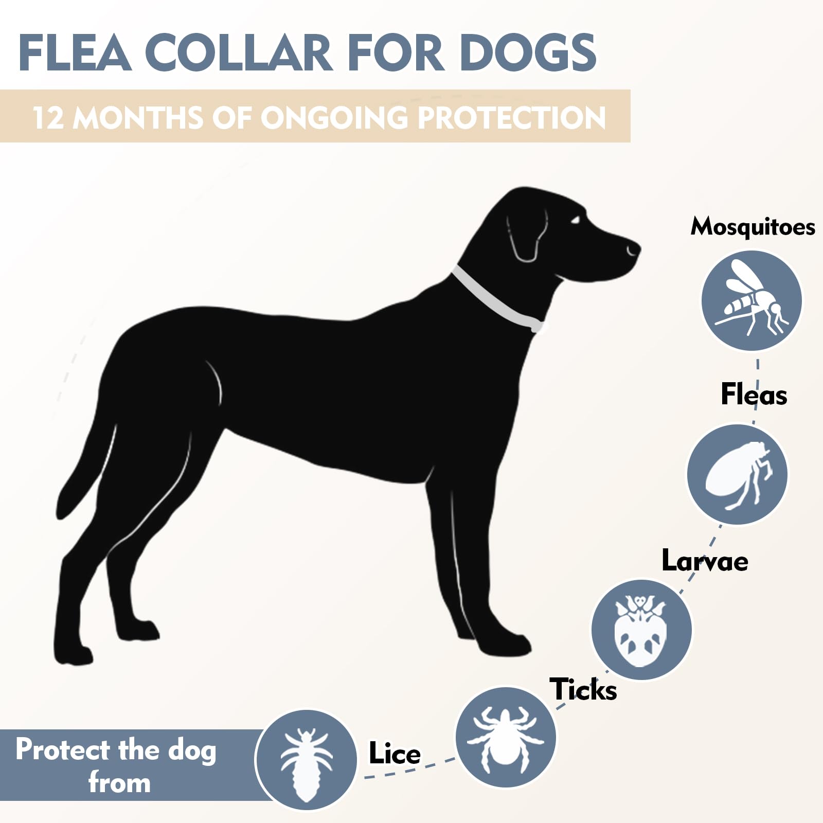 Collare Antiparassitario Per Cani, 12 Mesi di Protezione Collare Antipulci Cane Antiparassitario Cani Regolabile Impermeabile Collare Antipulci per Tutti i Cani (1Pack)