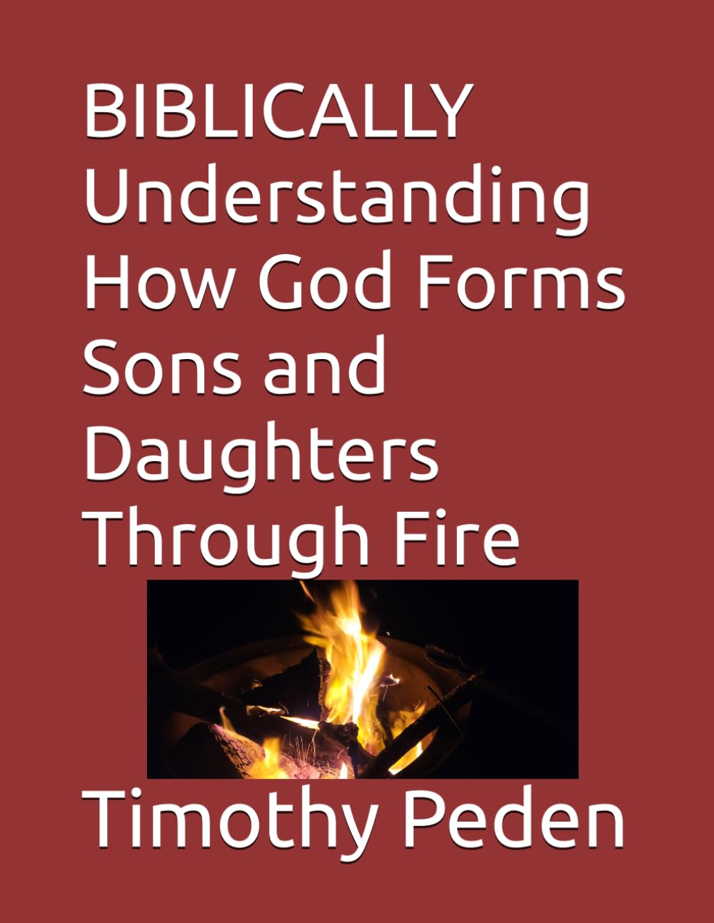 BIBLICALLY Understanding How God Forms Sons and Daughters Through Fire: 4 (Biblically ..... Understanding Christianity, Service and Trials.)