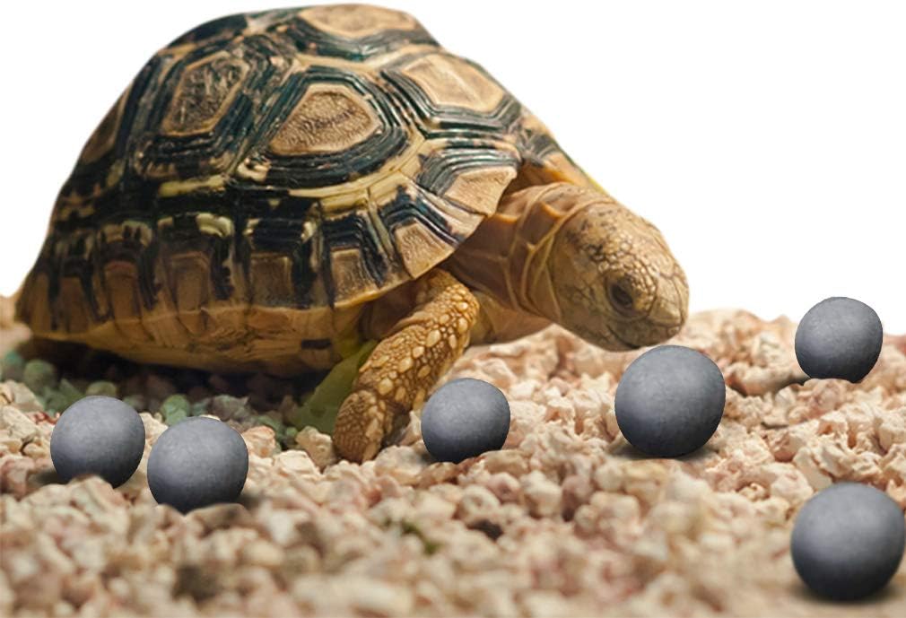 tortoise calcium supplement