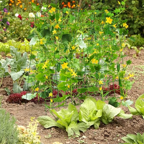 Pack-2-Heavy-Metal-Garden-Trellis-for-Climbing-Plants-with-Trellis-Netting-Garden-ClipsCucumber-Trellis-for-Climbing-Plants-Outdoor-MetalA-Frame-Cucumber-Trellis-for-Raised-Bed-Pack-2 Pack 2 Heavy Metal Garden Trellis for Climbing Plants with Trellis Netting Garden ClipsCucumber Trellis for Climbing Plants Outdoor MetalA Frame Cucumber Trellis for Raised Bed Pack 2