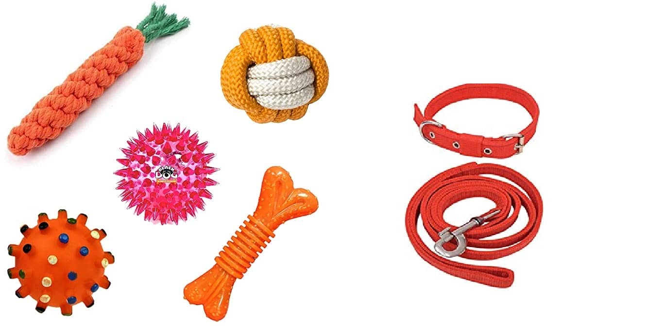 DC-Fly 5 Set Puppy chew Toys for Teething 5 Pack Toys for Small Dogs Soft & Safe & Durable Dog Interactive Toys Different Beautiful Pastel Color Pack 5 Color May Vary Combo 5 (Free Leash Coller) (B0BSNKNQJ1) Amazon Price History, Amazon Price Tracker