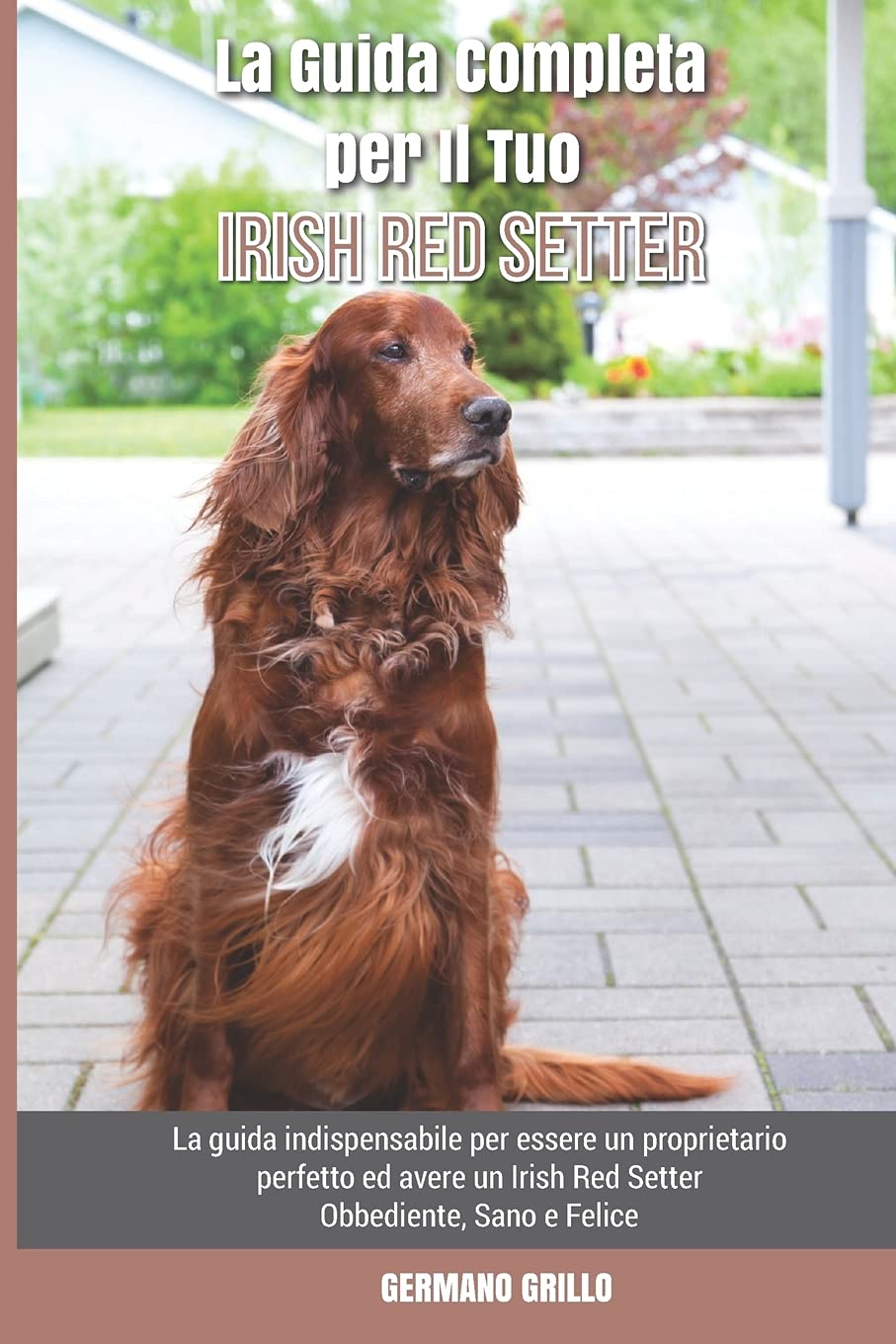 Germano GrilloLa Guida Completa per Il Tuo Irish Red Setter: La guida indispensabile per essere un proprietario perfetto ed avere un Irish Red Setter Obbediente, Sano e Felice