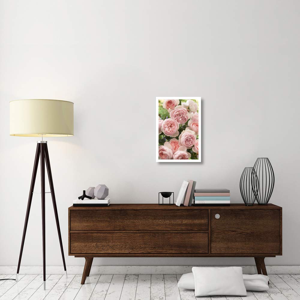 Artworks Italia Rose Patrimoine Fleurs Papier Art-45,7 x 66 cm