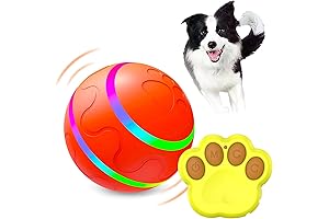 Auto Active Rolling Ball - A Dog's Dream