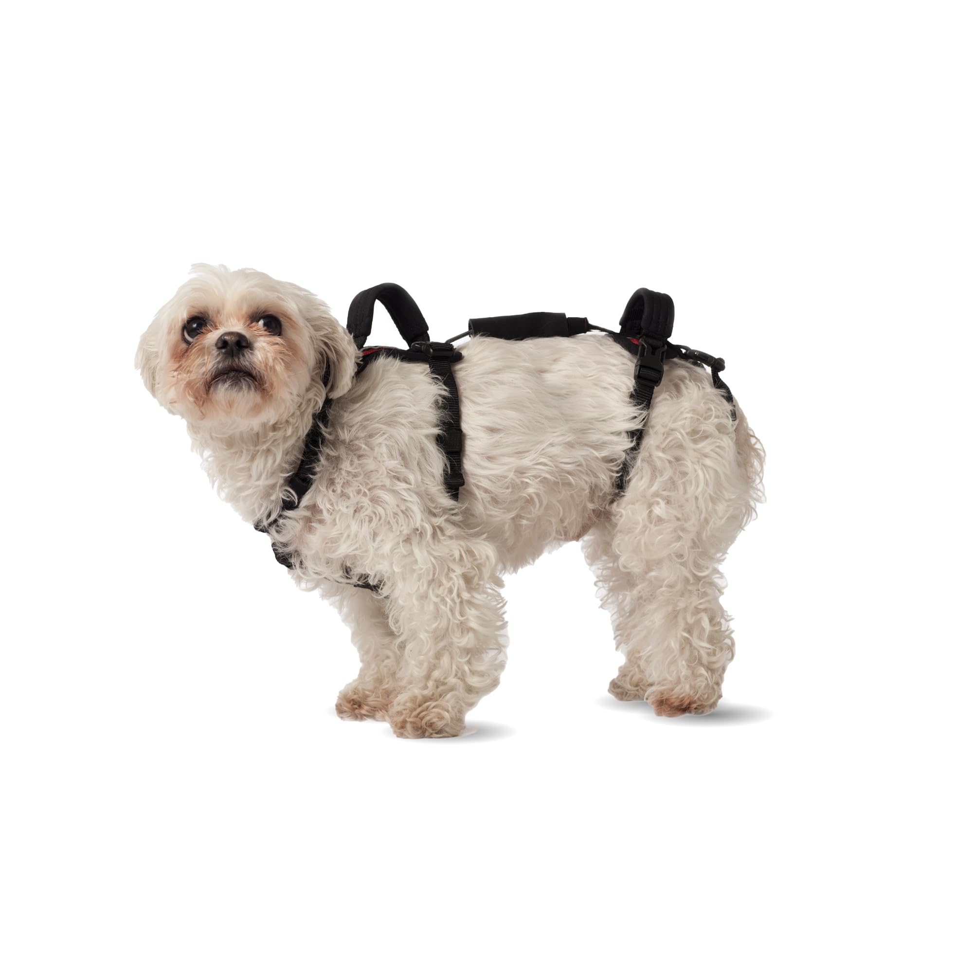 Help 'Em Up® - Dog Lift Harness│ Adjustable Lifting Harness for Dogs │ Full Body Support, Rear Leg Support (Conventional, XS)