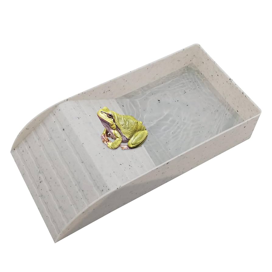 Amazon.co.jp: 爬虫類の餌皿 | 写真爬虫類の水皿と餌皿,ペットの