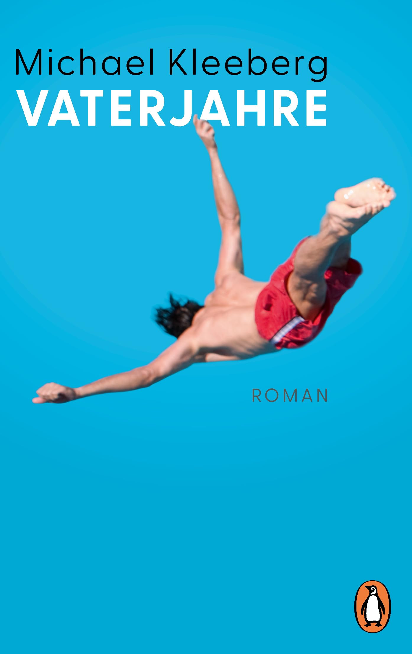 Vaterjahre: Roman (Karlmann-Trilogie, Band 2)