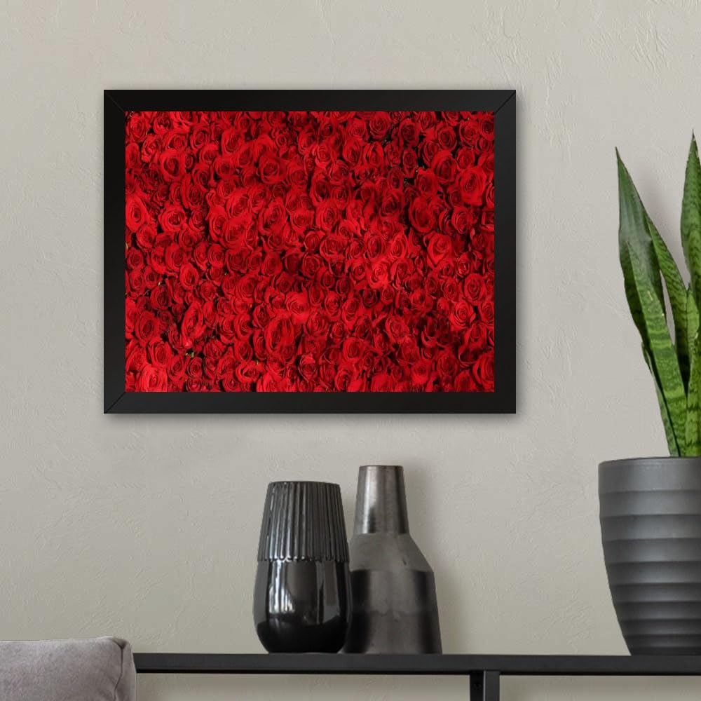 GADGETS WRAP Printed Photo Frame Matte Painting for Home Office Studio Living Room Decoration (11x9inch Black Framed) - Love Red Roses-image-44