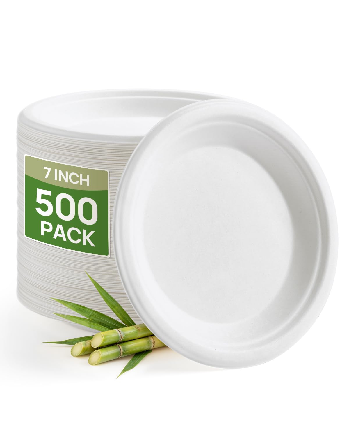 Compostable Sugarcane Plates - 500 Pack -14