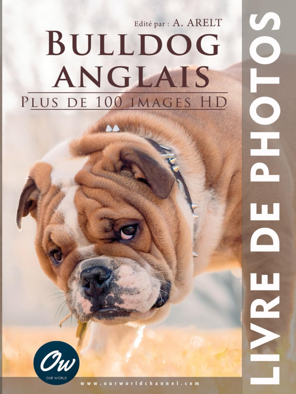 Bulldog Anglais Livre de Photos avec 100 images HD format album relié