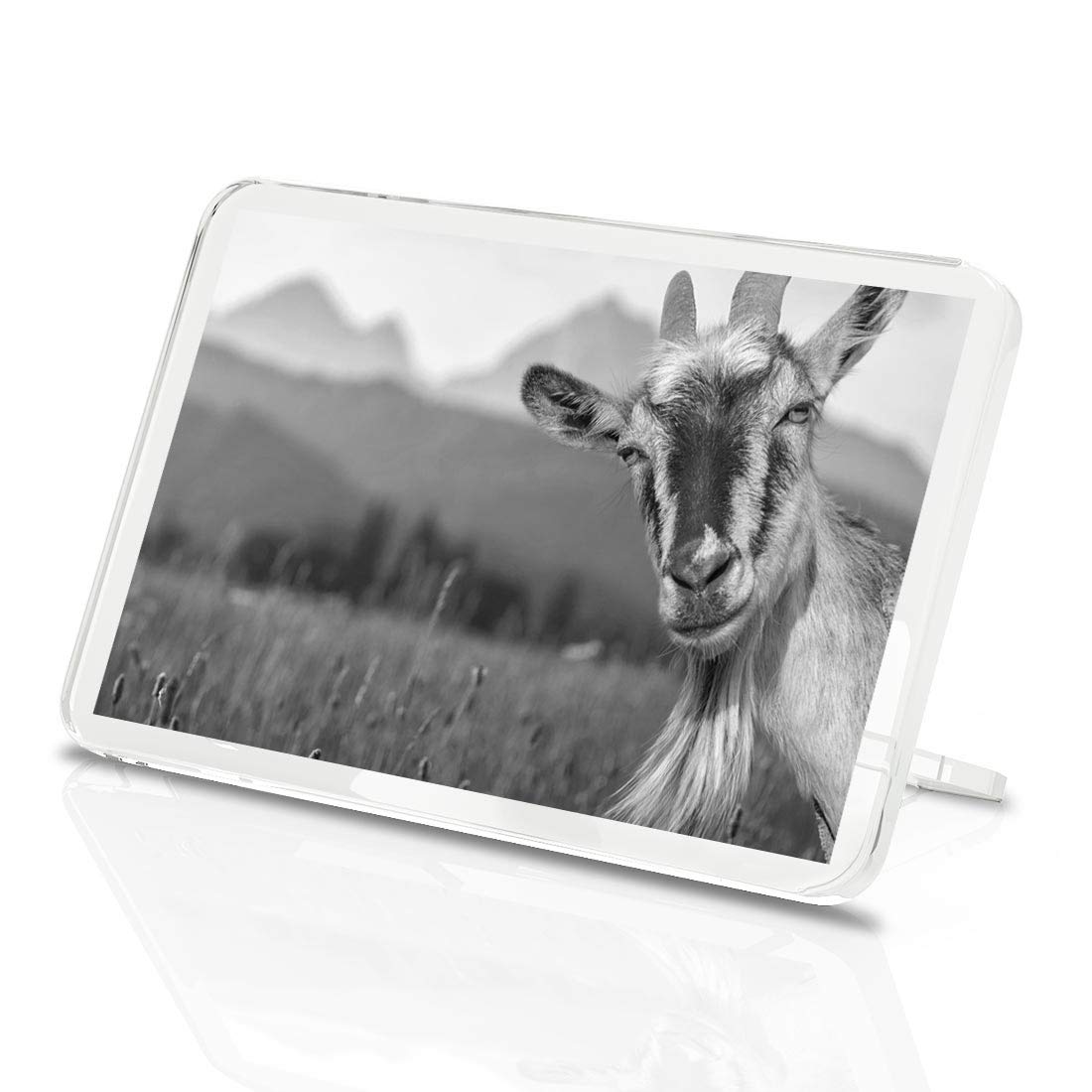 Destination Vinyl Ltd Multicolor 1 X Fridge Magnet - Cheeky Billy Goat Animals Mountain #41197