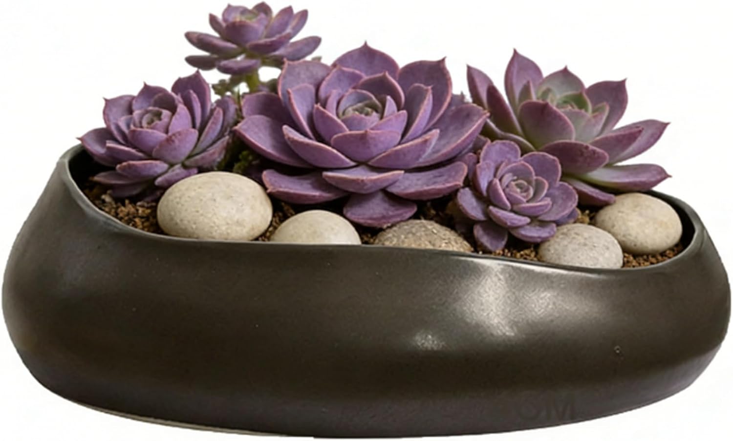 9.5'' Black Ceramic Indoor Plant Pot,Low Bowl Indoor Plant Pot with Decorative Tray, Contemporary Decorative Flower Pot for Home, Kitchen, Office & Event Décor