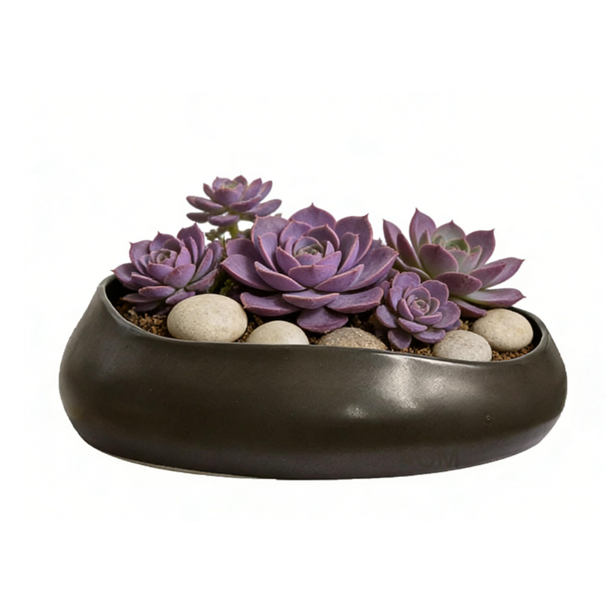 LOUIE SILNA Cactus Planter, 21cm Ceramic Succulent Planter, with Drainage Holes, Suitable for Indoor and Outdoor Plants, Garden Decoration, and Flower Plant Containers (Black).