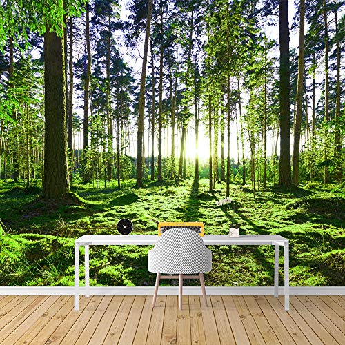 Exclusive SIGNFORD Wall Mural Forest Removable Wallpaper Wall Sticker for Bedroom Living Room - 66x96 inches 🛒 Flash Sale SIGNFORD Wall Mural Forest Removable Wallpaper Wall Sticker for Bedroom Living Room - 66x96 inches