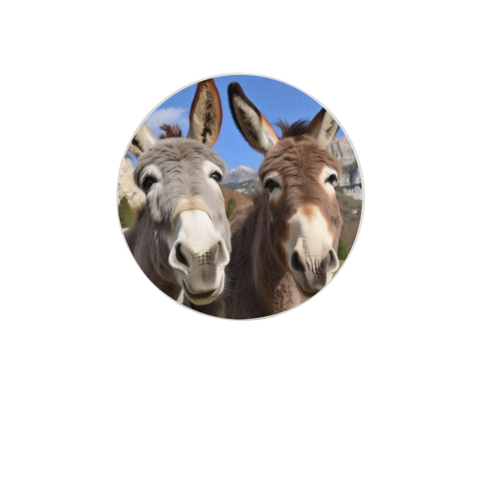 Funny Donkeys Absorbent Drink Coasters Diatomaceous Round Coaster 4 Inch Reusable Cup Coasters Set 4pc