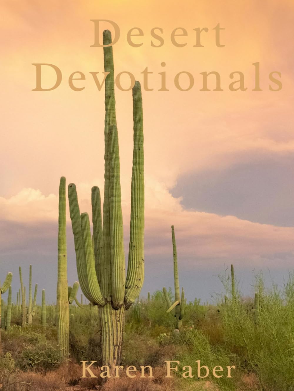 Desert Devotional
