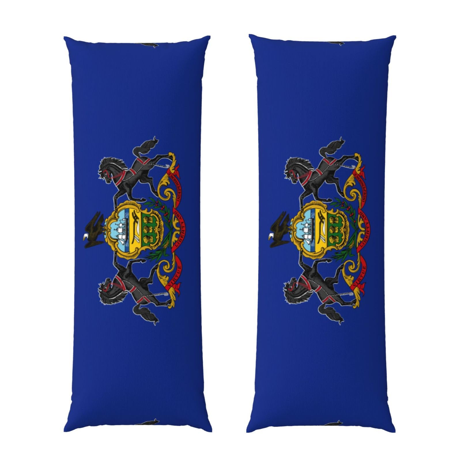 Housse de coussin de corps grand format pour soulager le sommeil taie Pennsylvanie