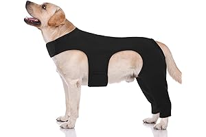 Enhanced Dog Recovery Suit with Leg Support