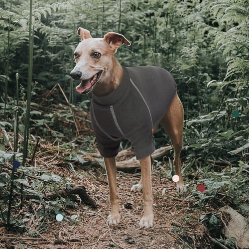 IECOii Hundepullover für Mädchen, Fleece, Größe M, grau, warmes Winter-Sweatshirt für mittelgroße Hunde, Mops & Dackel
