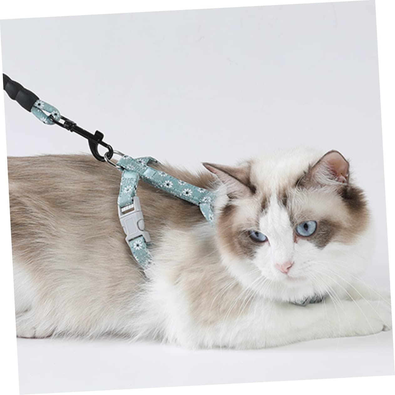 FRCOLOR 3stücke Einstellbares Katzen-Geschirr Mit Bequemer Baumwollgurt Im Blumenmuster Für Und Outdoor-aktivitäten