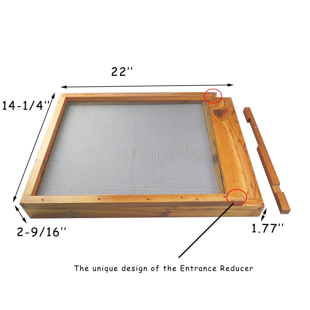 Beehive Screened Bottom Board, Langstroth 10 Frame bee hive Base with Entrance Reducer, Dipped in 100% Beeswax (10 Frame)