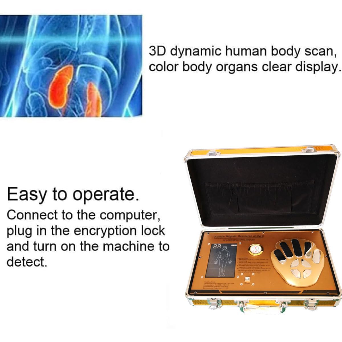COYEUX Quantum Health Body Analyzer, Inteligentny detektor dynamicznych komórek ludzkich meridianów do szybkiego i dokładnego testowania zdrowia fizycznego dla wszystkich systemów Windows