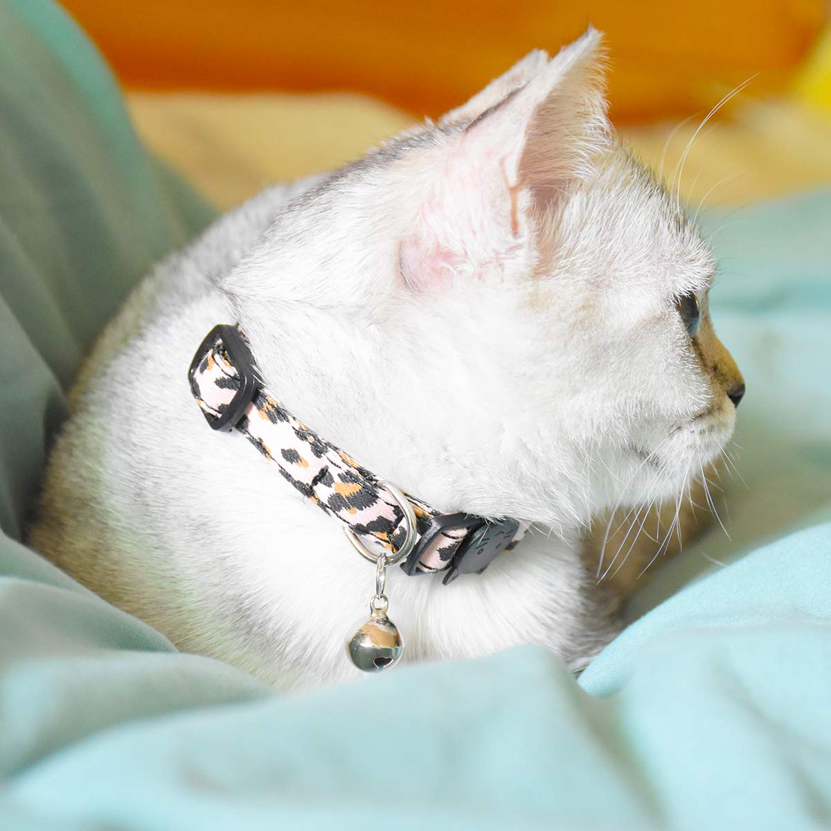 Breakaway Katzenhalsbänder mit Glöckchen, 3 Stück, langlebig und sicher, niedliches Kätzchenhalsband, Sicherheit, verstellbar, Kätzchenhalsband für Katzen, Welpen, 19,1–27,9 cm (Leopardenmuster)