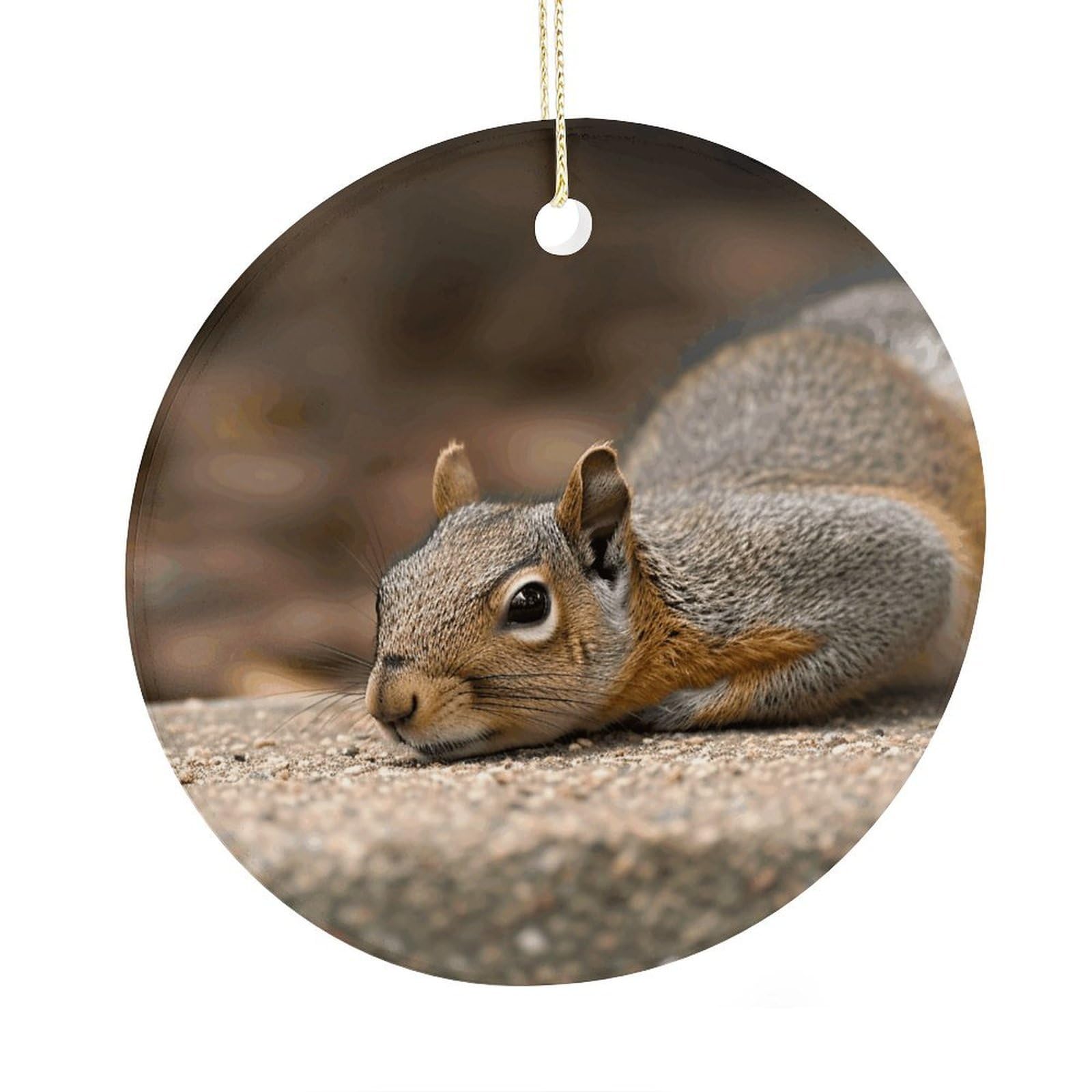 Adfgyerh Style Squirrel Just Laying Ceramic Circular Pendant,2.9 Inch，Hanging Ornament，Gift Exchange Idea Round Ceramic Ornament,For Mom And Daughter，For Home Indoor Outdoor Decor.