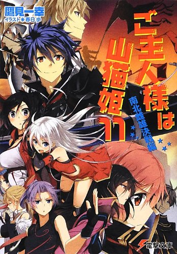 ご主人様は山猫姫 11 南北雌雄決戦編 電撃文庫 Amazon Co Uk Kazuyuki Takami Books