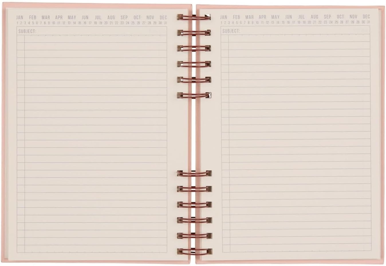 DesignWorks Ink Standard Issue Notebook No. 12, Undated Daily Planner & Writing Journal, 192 Lined Pages, Elastic Pen Holder, Small Spiral Notebook for Work & Journaling, 6 x 8.25 in, Rosewood & Blush