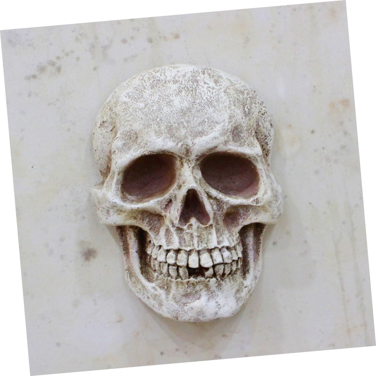 3 Piezas de Calaveras de Esqueleto para Fiestas de Halloween, Accesorios para Casas embrujadas, decoración de Casas embrujadas, Modelo de Esqueleto, Adornos de Cabezas de Calavera