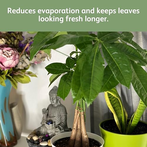 Vista 25 de Chrysal LeafShine Spray para plantas de interior - 5.6 oz (8.5 fl oz)