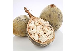 6 Baobab Seeds (Adansonia) - Baobab Tree Seeds - Monkey Puzzle Tree