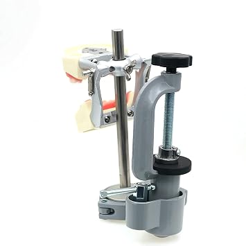 Typodont Teeth Model 360-Degree Adjustable Fix on Desk Replaceable Teeth For Dentists Teaching Study Demonstration