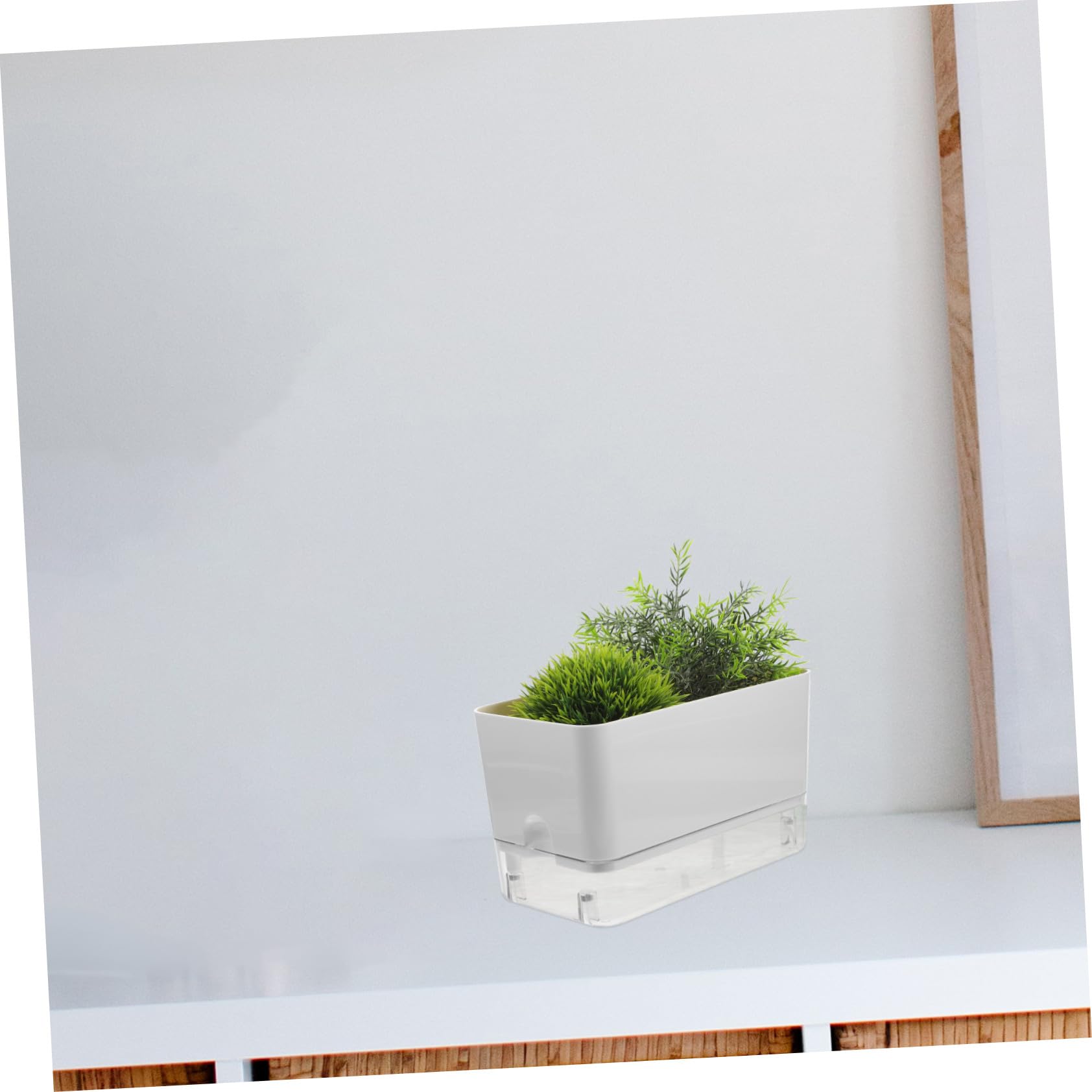 2 Stück Selbstbewässernde Orchideentöpfe Transparent Großformat mit Baumwollseil Bewässerungssystem für Zimmerpflanzen und Sukkulenten