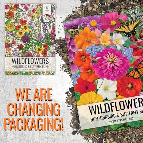 image for Seed Needs Wildflower Seeds Butterfly and Hummingbird Seed Mix 2 Ounce