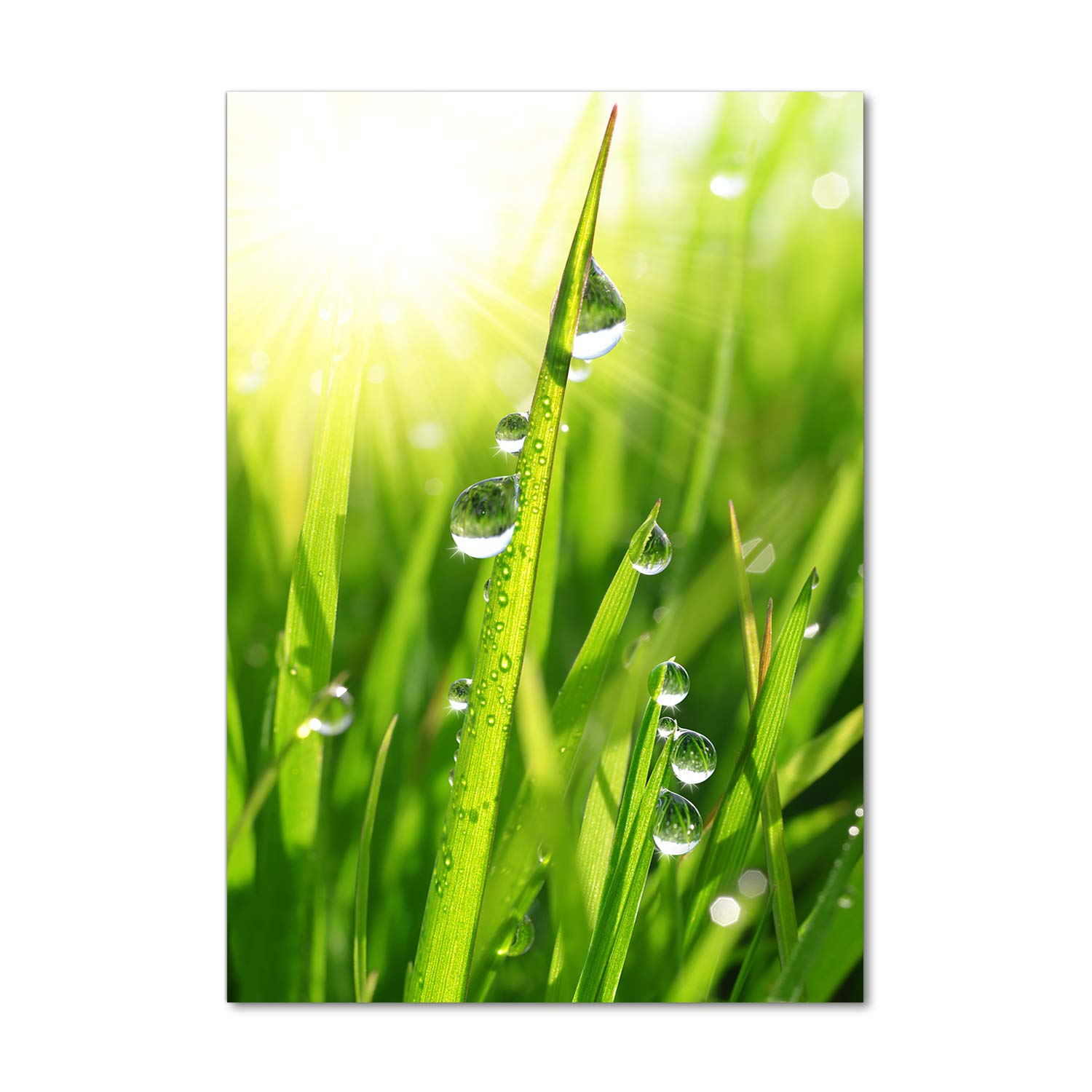 Impression sur verre vert pour cuisine lumineuse | Décoration tableau plantes 70x100