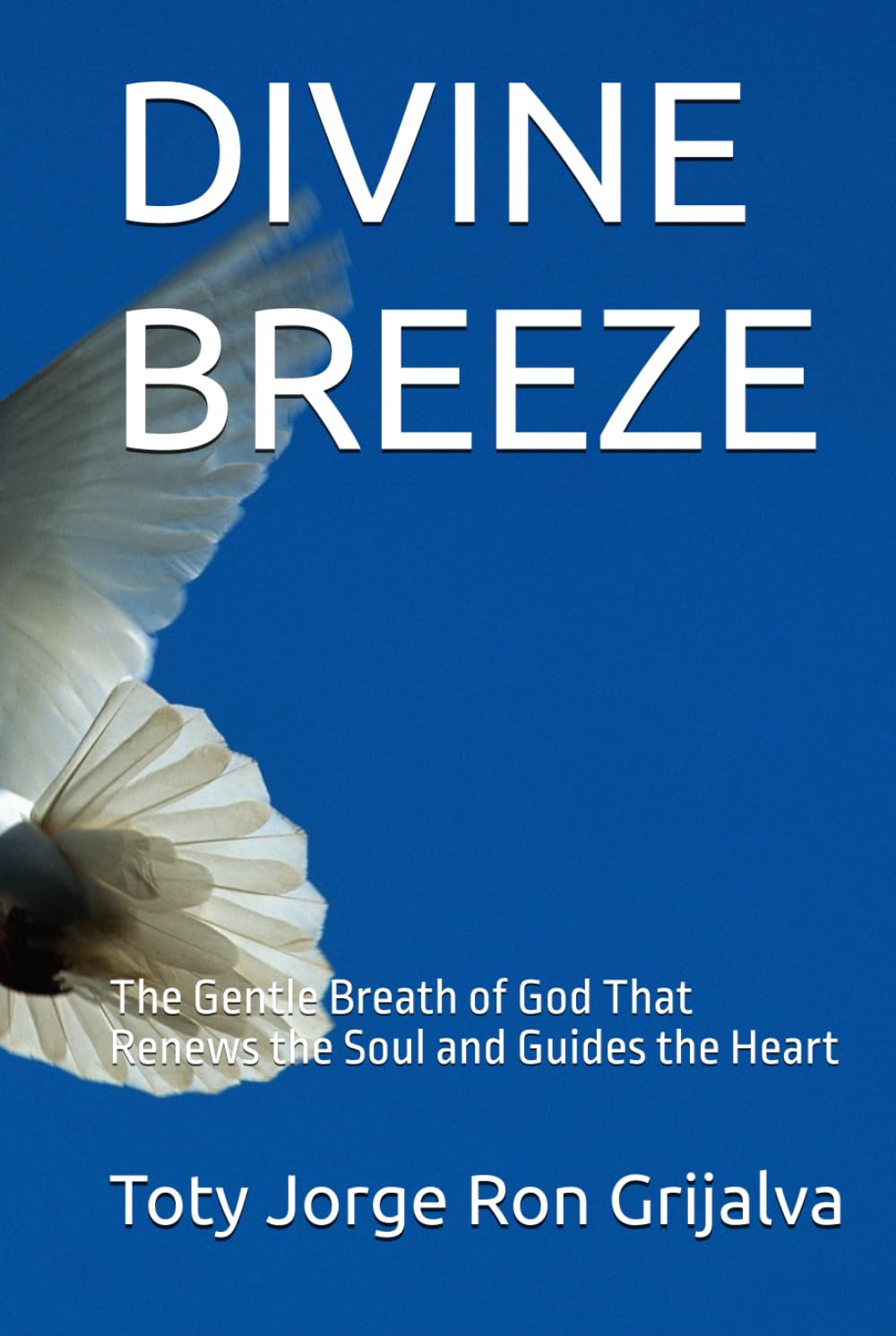 DIVINE BREEZE: The Gentle Breath of God That Renews the Soul and Guides the Heart (Colección Camino de Oración)