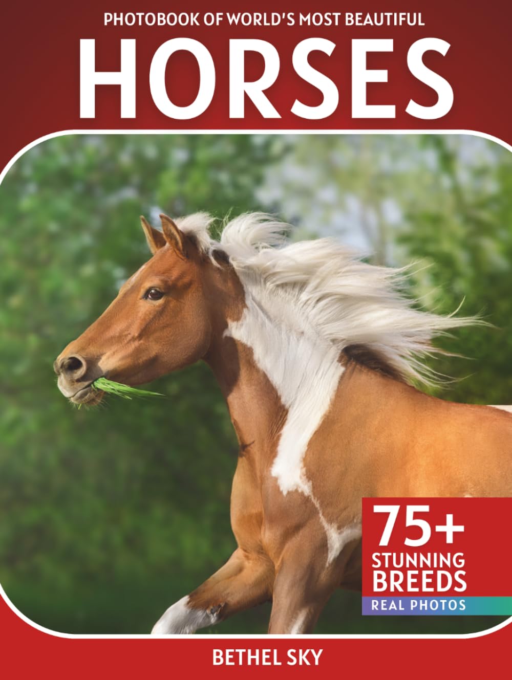Horses Photobook: A Stunning Visual Journey Through the World's Most Beautiful Horses