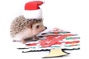 Hedgehog Santa Claus Costume for Christmas