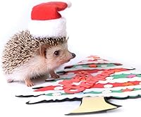 Vista 1 de HAICHEN TEC Ropa de erizo, disfraz de Navidad, traje de Papá Noel, ropa de animal pequeño, forro polar hecho a mano, sudadera con capucha de erizo