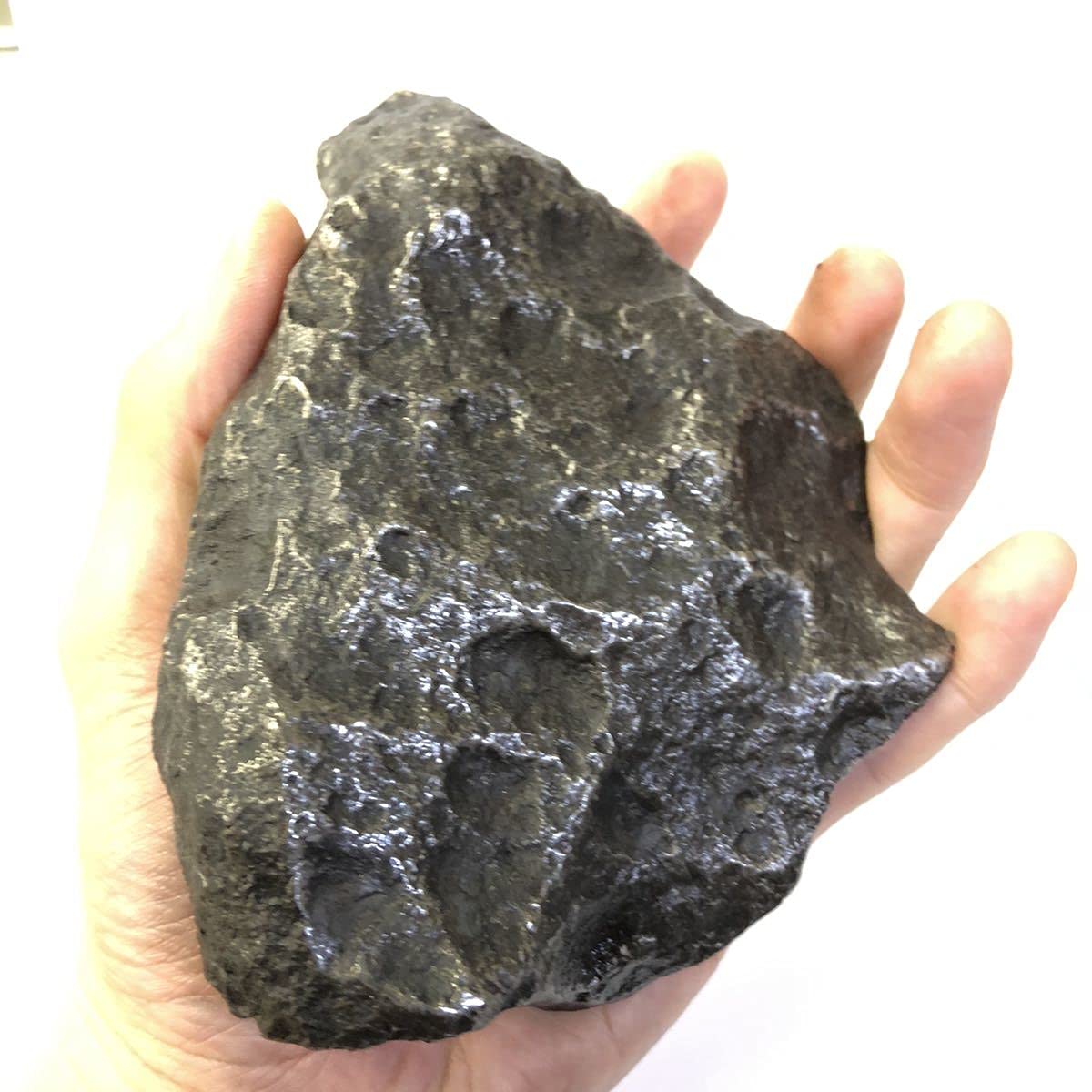 Amazon.co.jp: 1点モノ【約2.18kg】特大！ カンポデルシエロ隕石 隕石