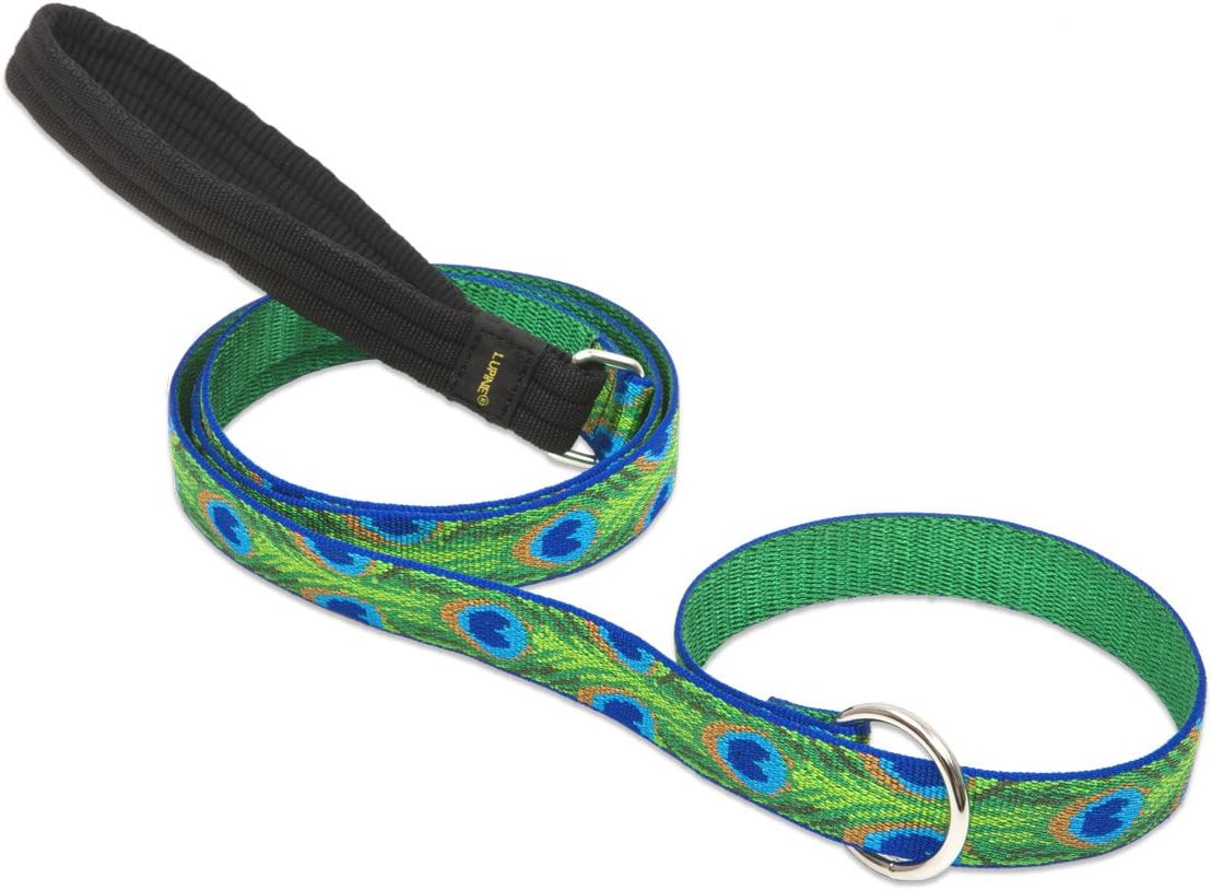 LupinePet Originals 1" Turtle Reef 6-Foot Slip Lead/Leash for Medium and Larger Dogs