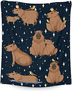 Throw Blanket for Baby - 30x40 Inches Lap Size - Soft Fluffy Cozy Blankets Gift - Black Cute Blanket Throws for Couch, Work