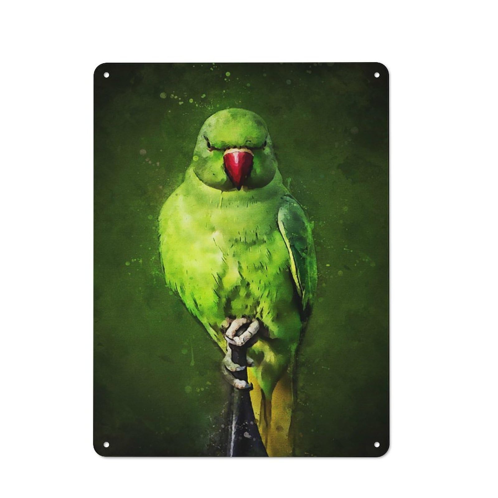 Nostalgic Green Parrot Decorative Tin Sign 40x30cm, Vintage Wall Decor for Lounge, Study, Pub Or Wall Gallery
