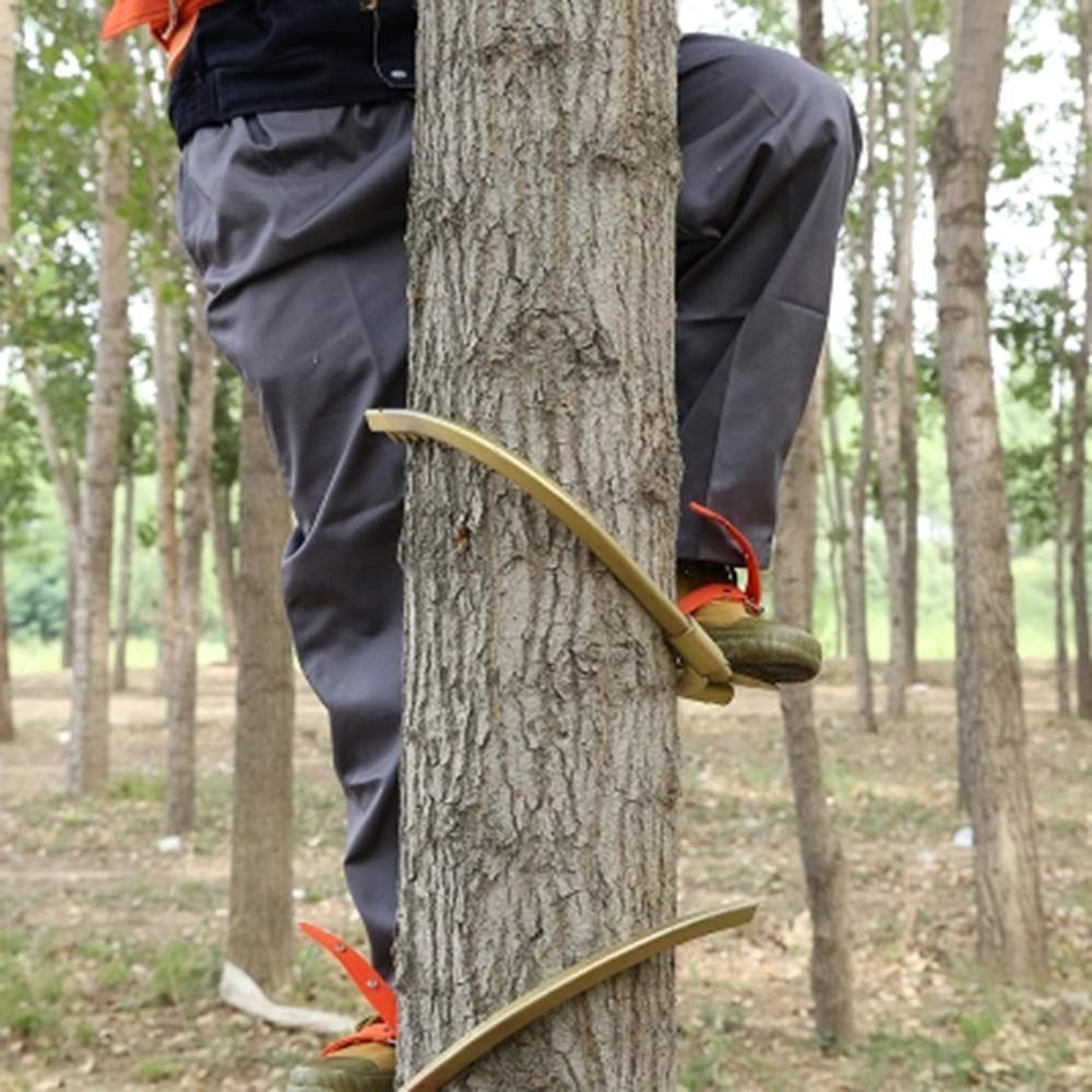GOOG Tree Climbing Equipment,Electrician Foot Buckle Climbing Trees Special Tool,Simple to Use (500)
