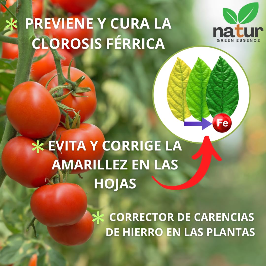 Natur, QUELATO DE HIERRO EDDHA para plantas, Reverdeciente Anticlorosis, Nutriente imprescindible, Fertilizante ecológico, Concentración ideal (6% Fe EDDHA o,o 4,8%), Plantas Verdes y Sanas, 5 KG