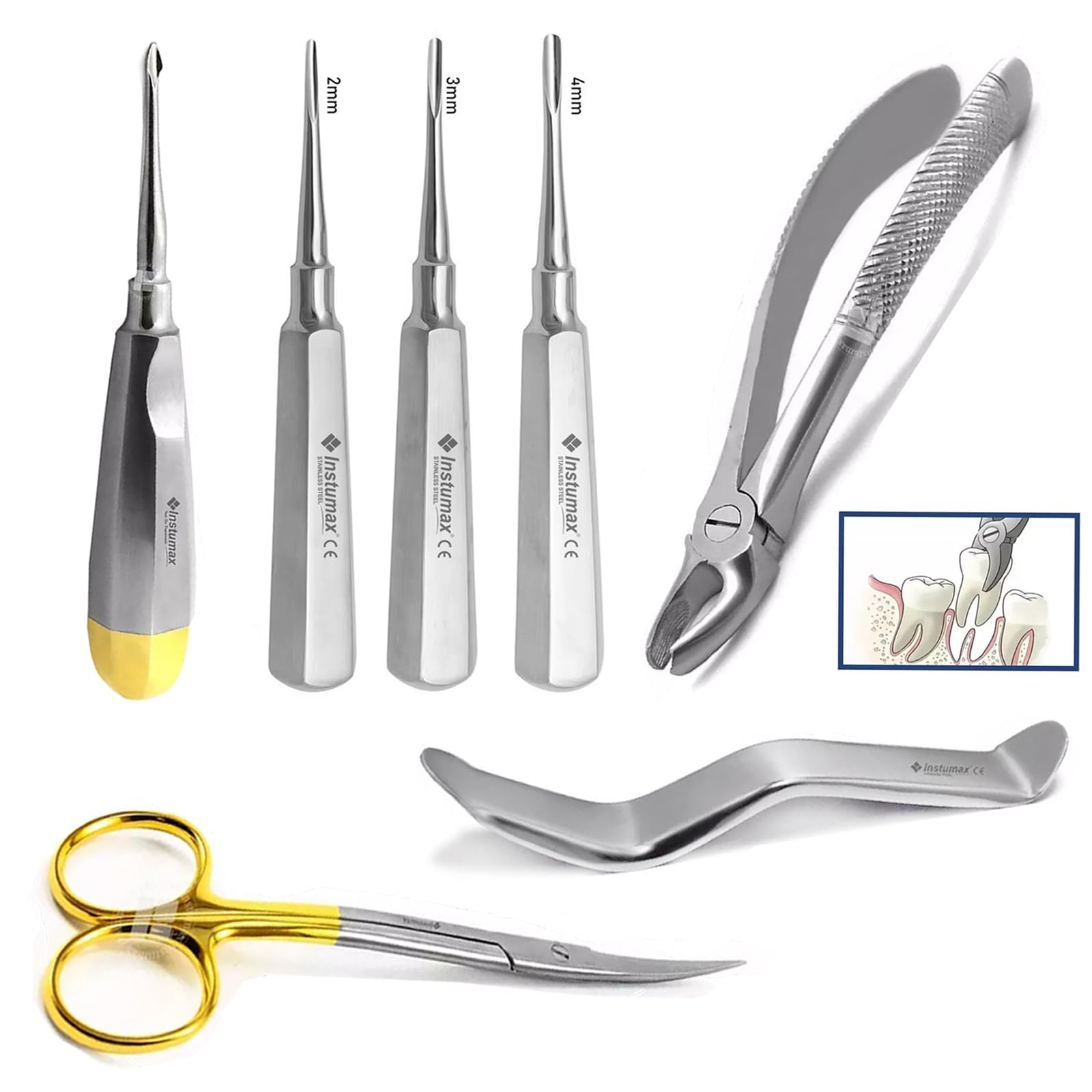 INSTUMAX Professional Dental Extraction Kit, 7-Piece Surgical Instrument Set with Elevators, Forceps, Retractor, Scissors